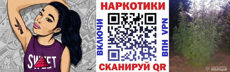 Наркошоп купить ГАШ  Alpha-PVP  КОКАИН  Меф  Бошки Шишки  Вилюйск