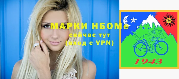 СК Бронницы