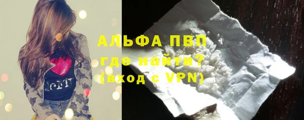 spice Бородино