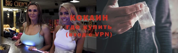 spice Бородино