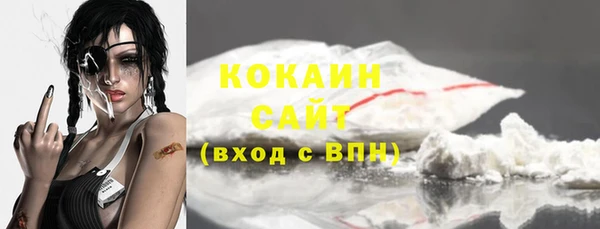 СК Бронницы