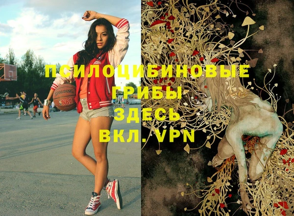 spice Бородино