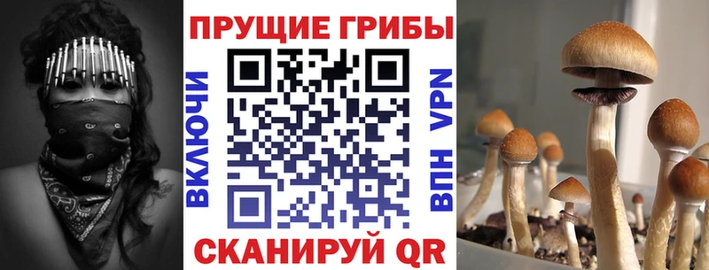 Купить где  Вилюйск  Псилоцибиновые грибы ЛСД 